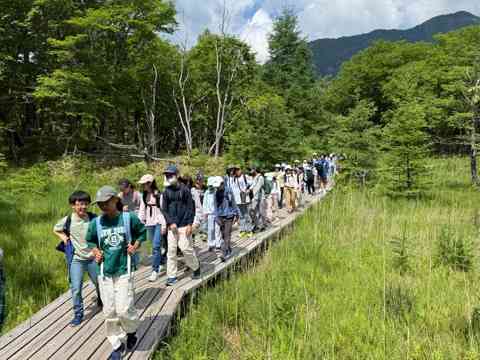 戦場ヶ原の木道